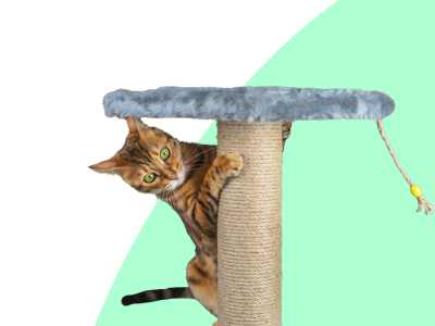 Image: Pet Supplies