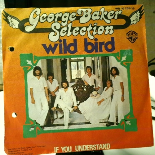 SINGLE / George Baker Selection – Wild Bird