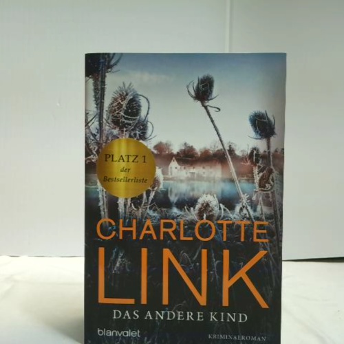 Buch / Das andere Kind: Kriminalroman