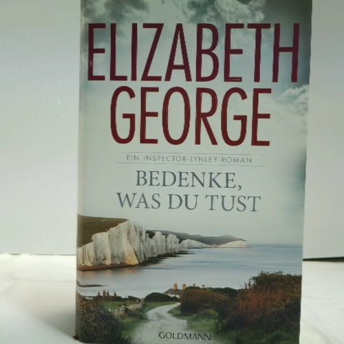 Buch / Bedenke, was du tust: Ein Inspector-Lynley-Roman 19