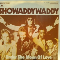 SINGLE / Showaddywaddy – Under The Moon Of Love