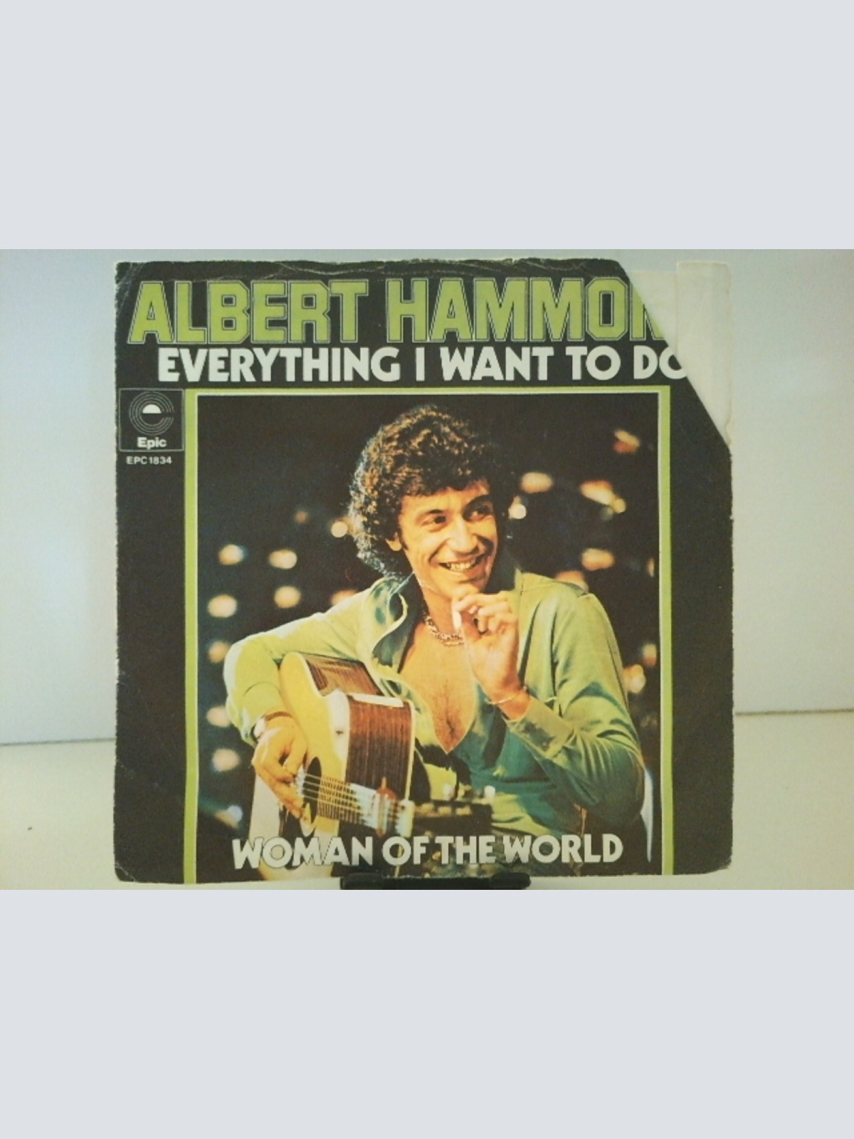 SINGLE / Albert Hammond – Everything I Want To Do