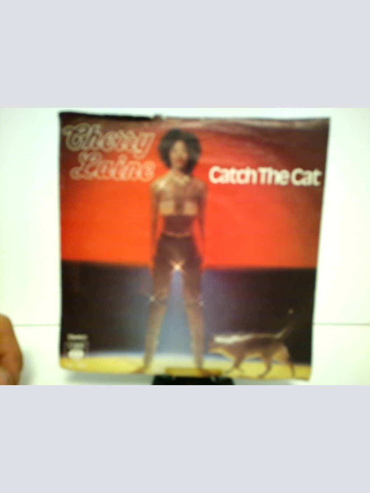 SINGLE / Cherry Laine – Catch The Cat