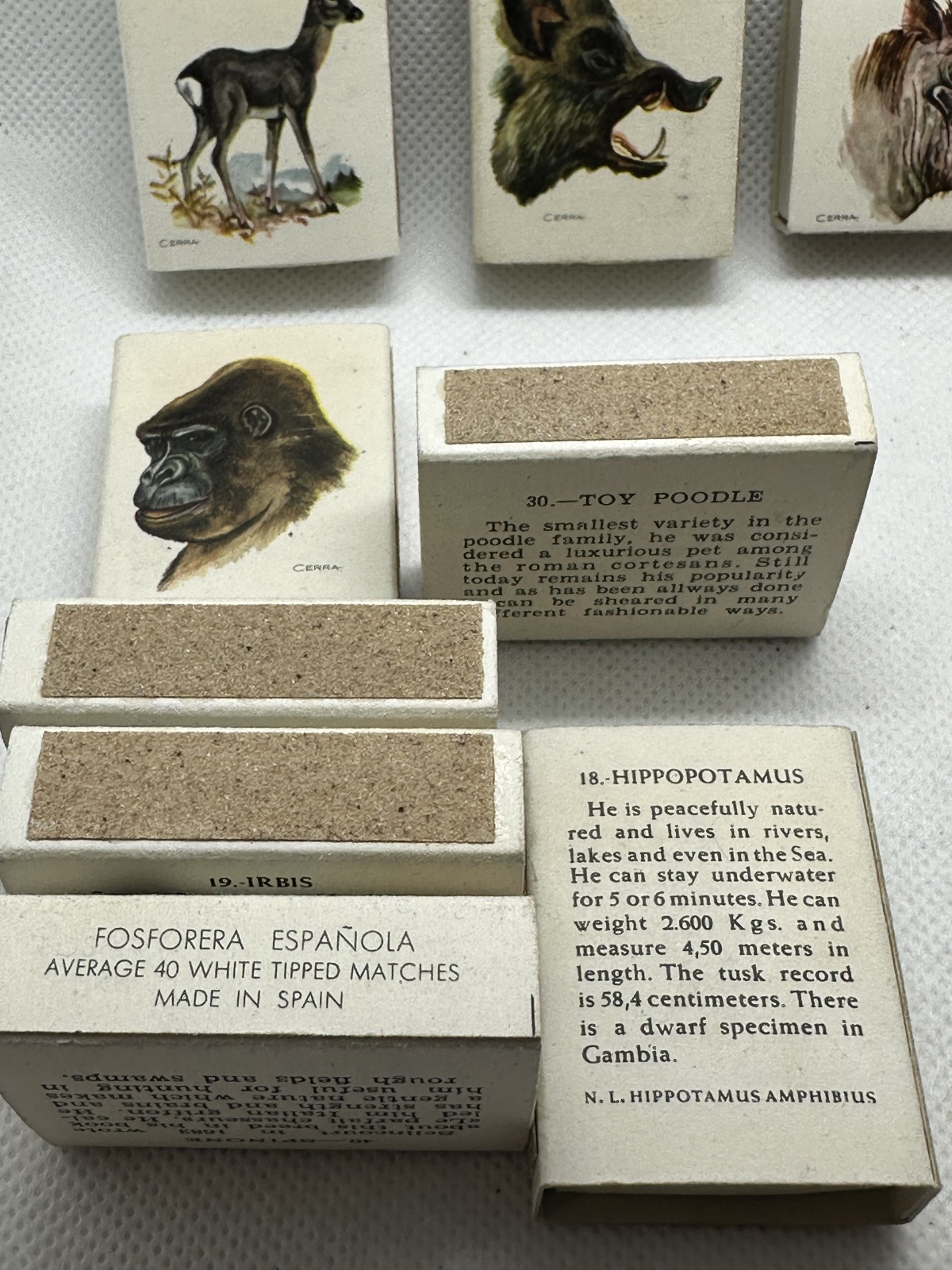 9 Stk. antike spanische Streichholzschachteln Fa. Fosforera