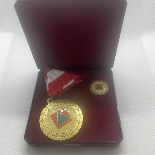 Zivilschutz Österreich Orden in Schatulle