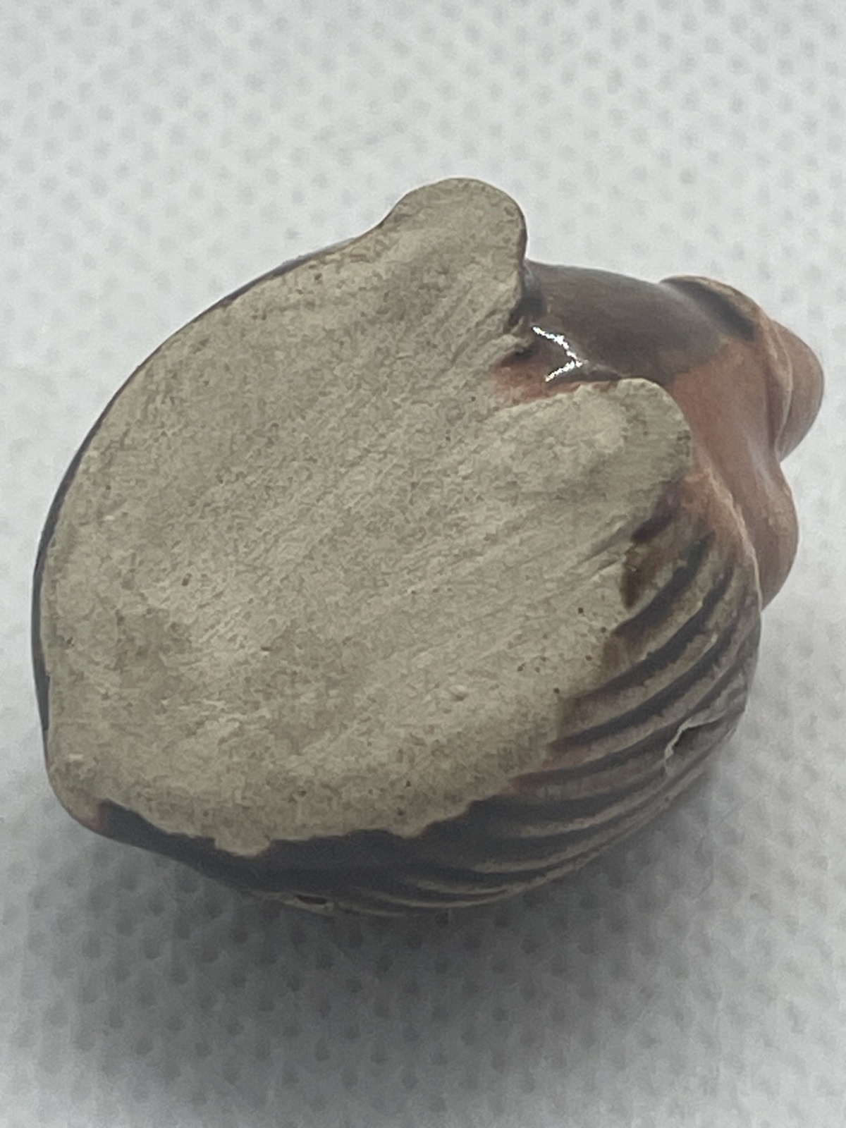 Kleiner Igel aus vermutlich Mürztaler Keramik