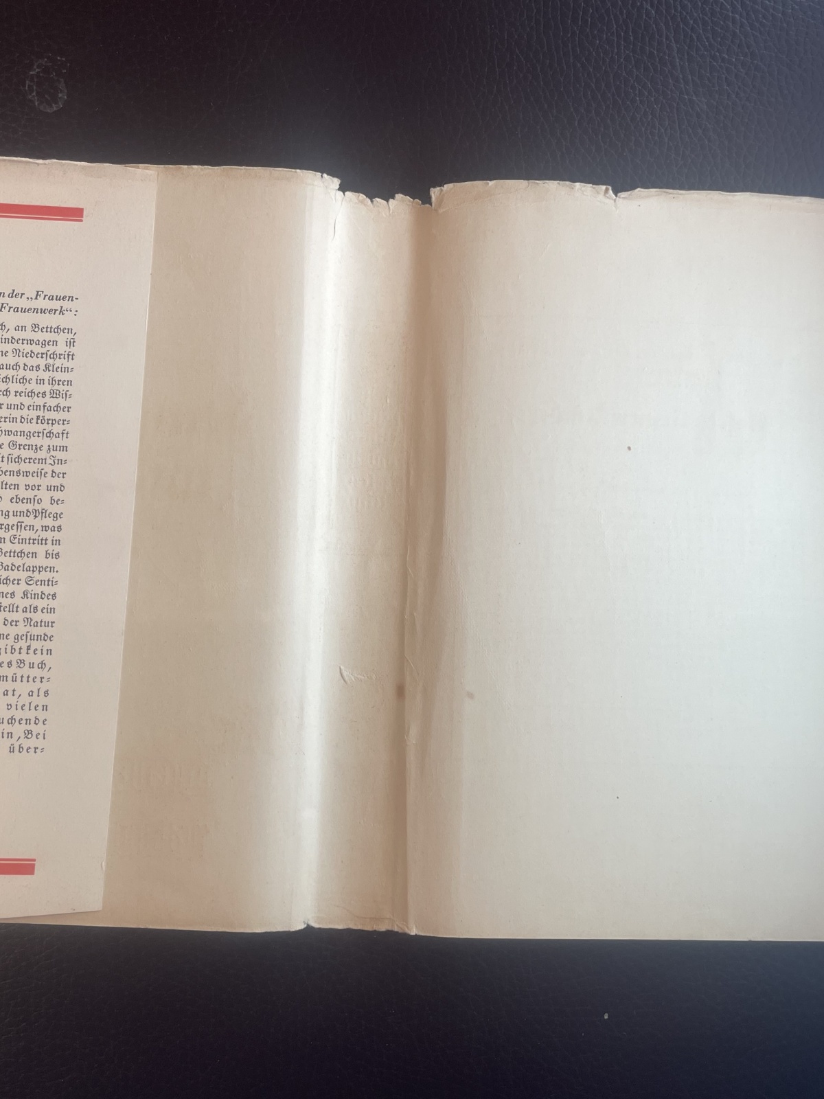 Frau Dr. Johanna Haarer "Die deutsche Mutter und ihr erstes Kind"