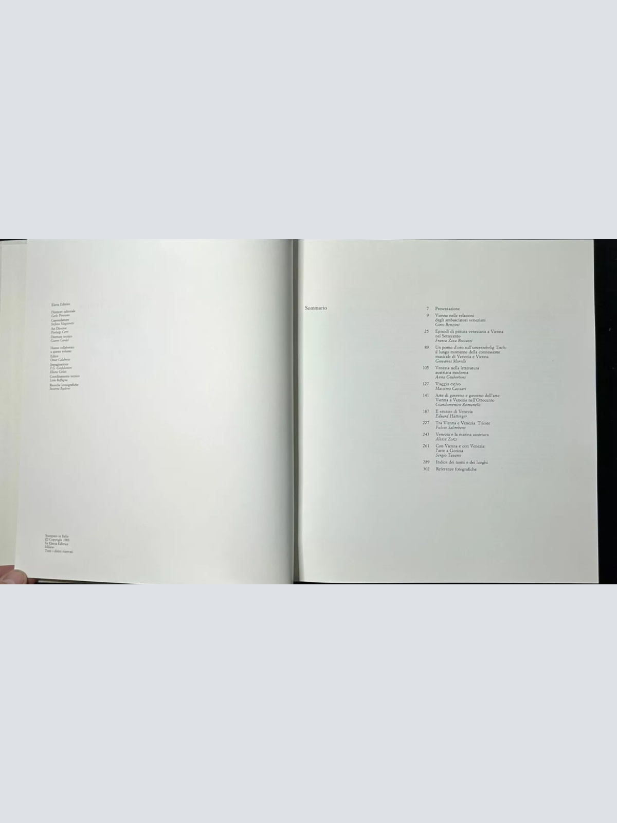 Electa-Buch Venedig Wien: Der Mythos der venezianischen Kultur im habsburgischen Europa 1983