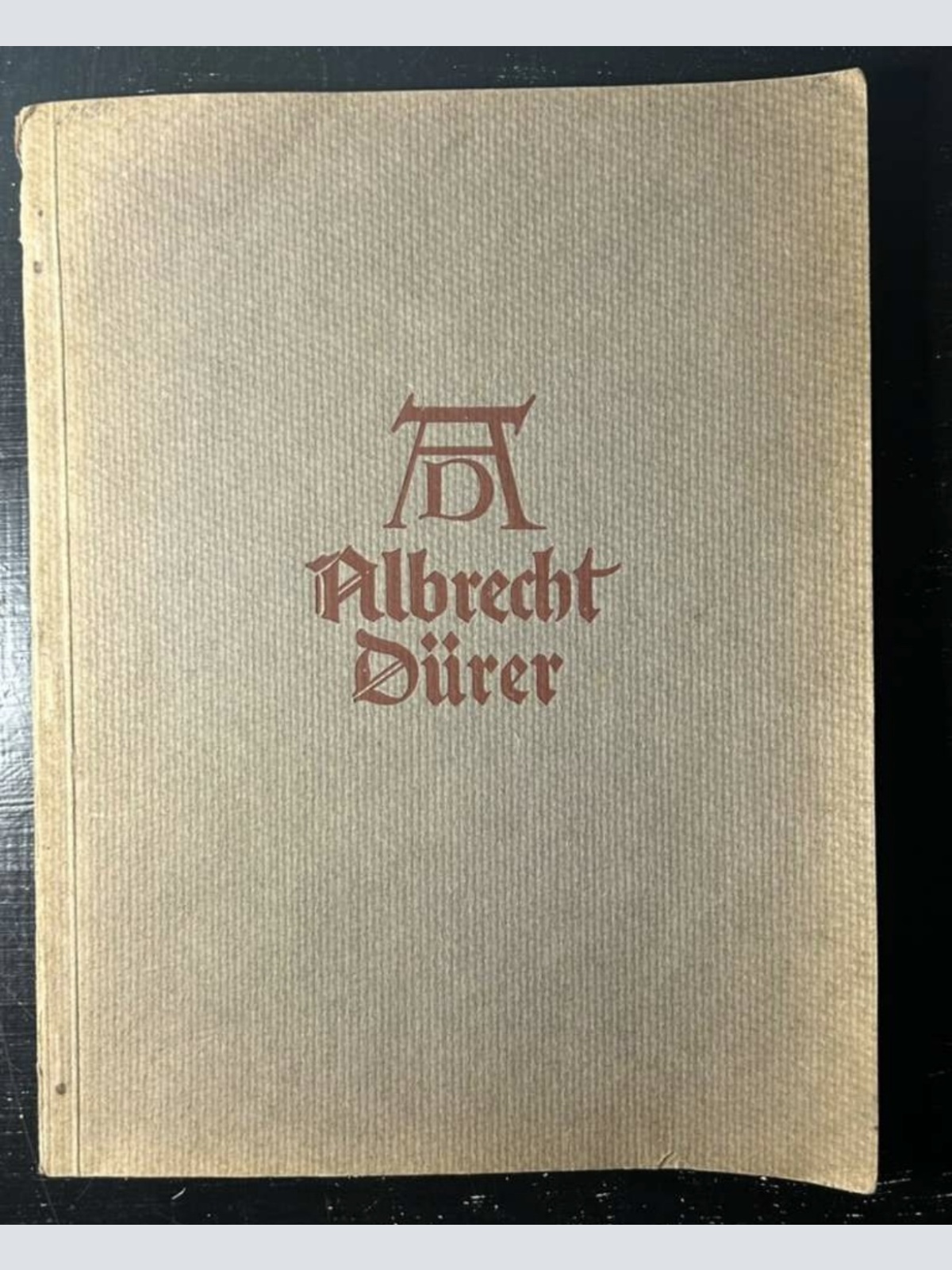 1910 Antik Albrecht Dürrer Malen Buch
