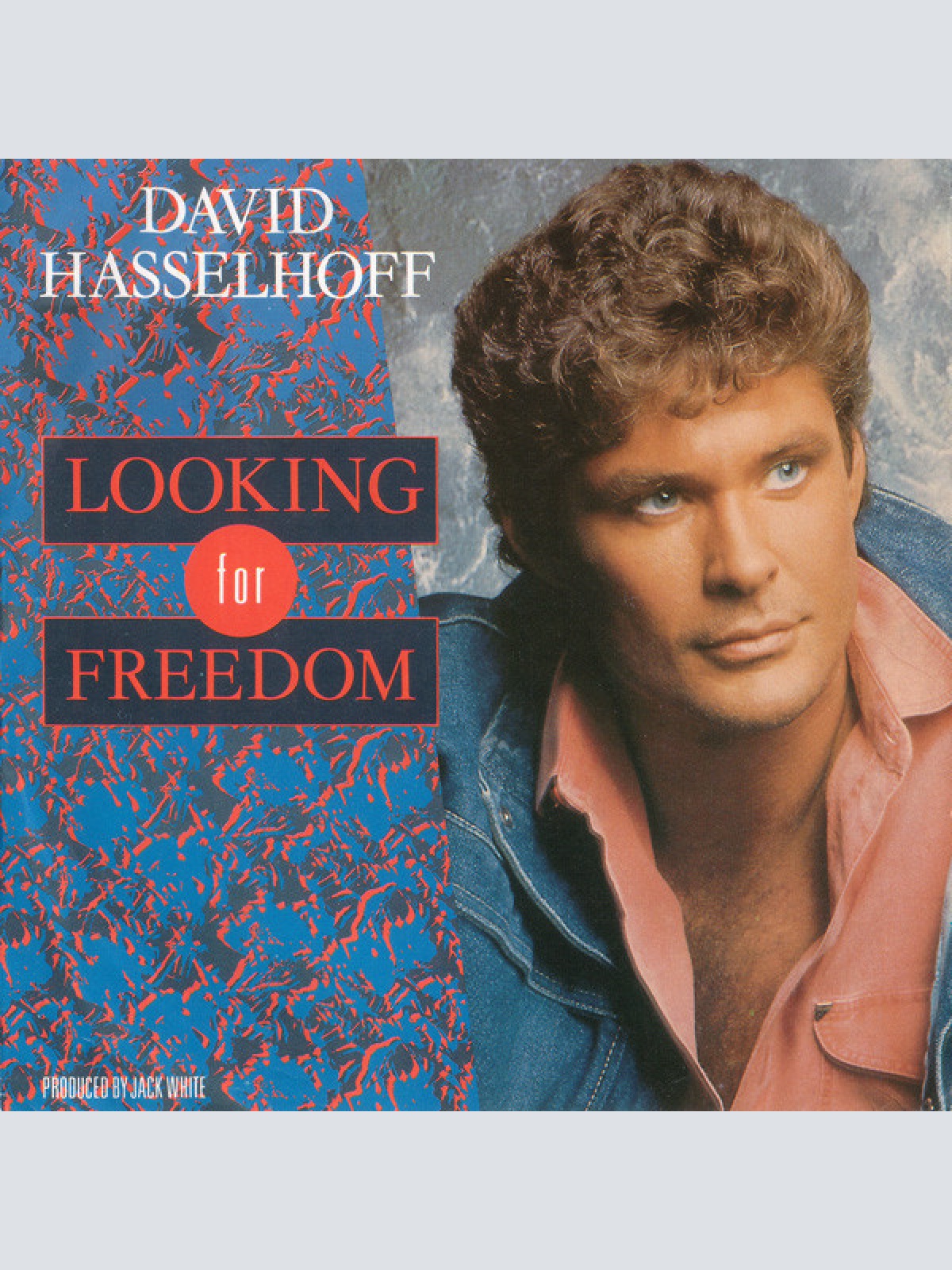 Vinyl / David Hasselhoff - Looking For Freedom