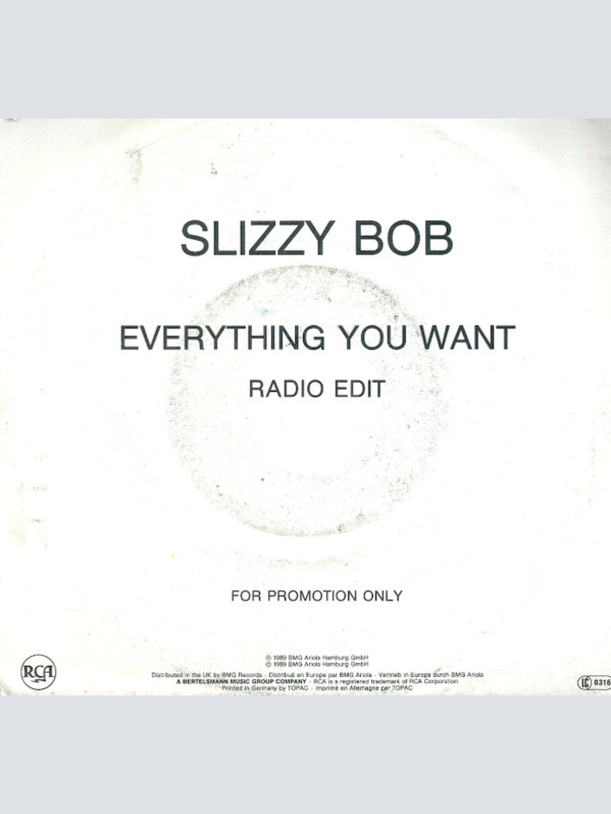 Vinyl / Slizzy Bob - Everything You Want
