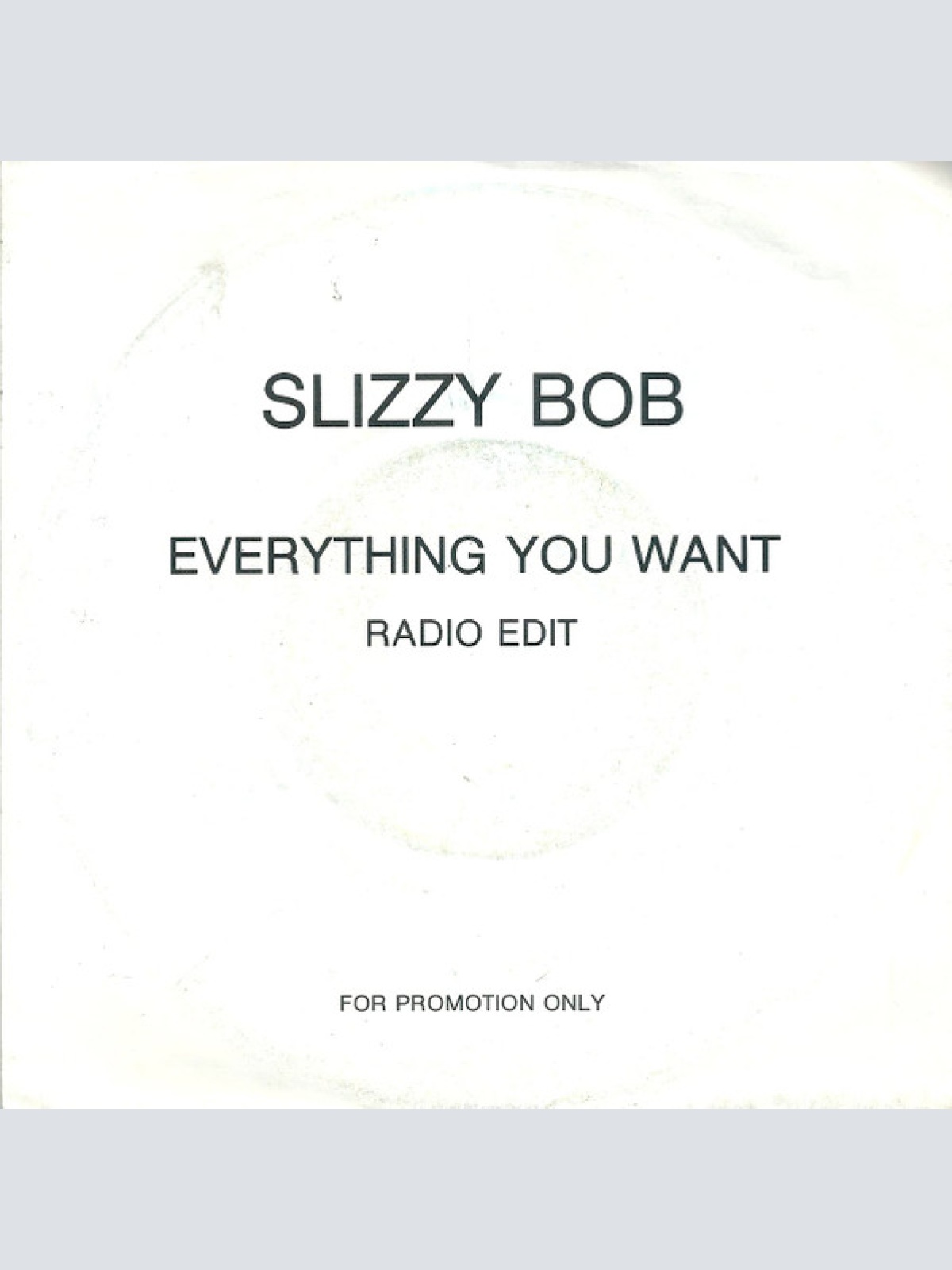Vinyl / Slizzy Bob - Everything You Want