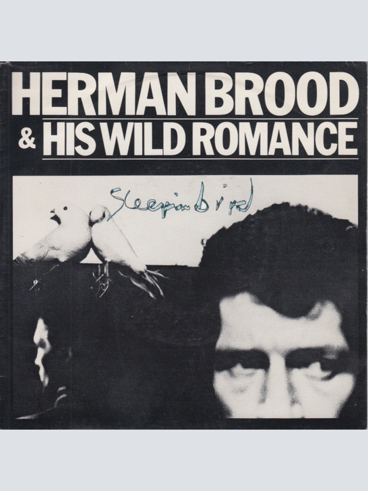 Vinyl / Herman Brood & His Wild Romance - Sleepin' Bird