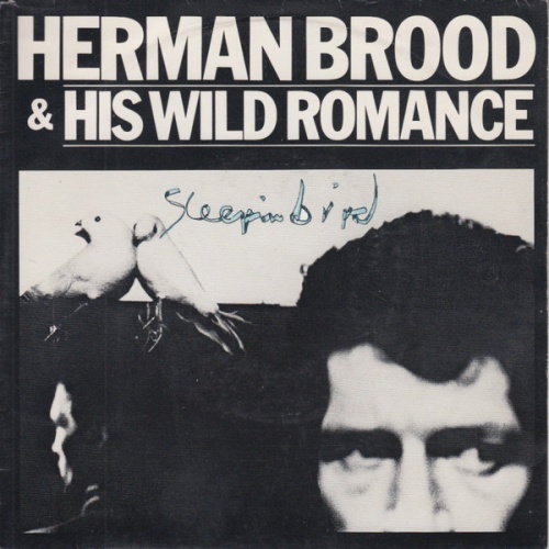 Vinyl / Herman Brood & His Wild Romance - Sleepin' Bird