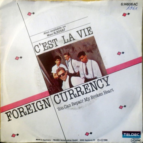 Vinyl / Foreign Currency - C'est La Vie