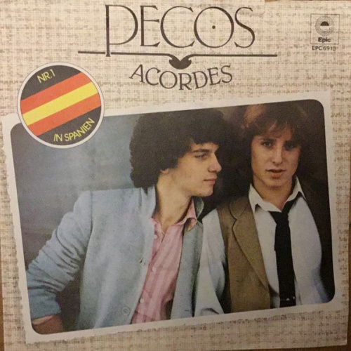 Vinyl / Pecos - Acordes