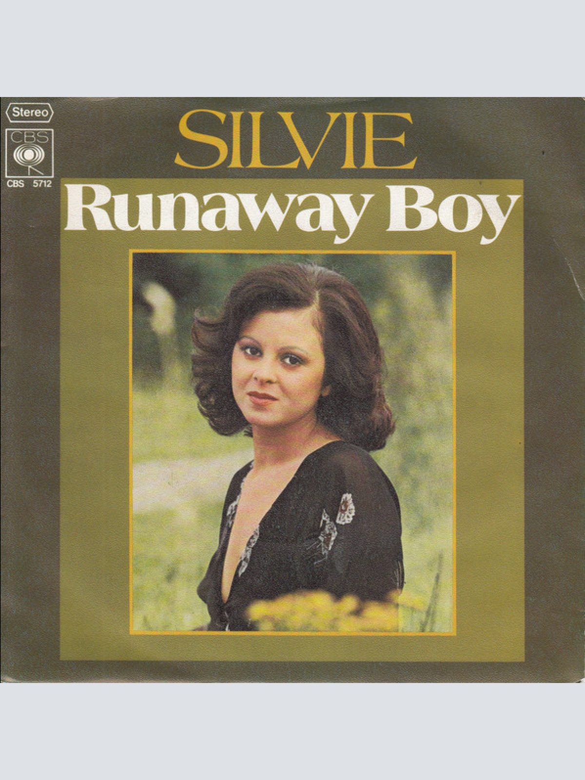 Vinyl / Silvie (5) - Runaway Boy