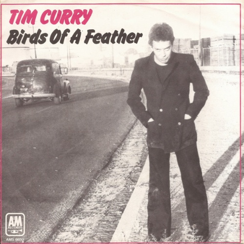 Vinyl / Tim Curry - Birds Of A Feather