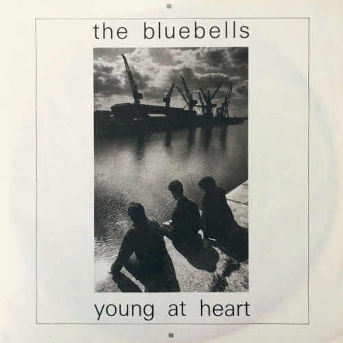 Vinyl / The Bluebells - Young At Heart