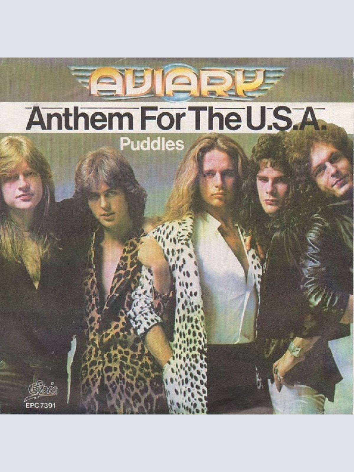 Vinyl / Aviary - Anthem For The U.S.A.