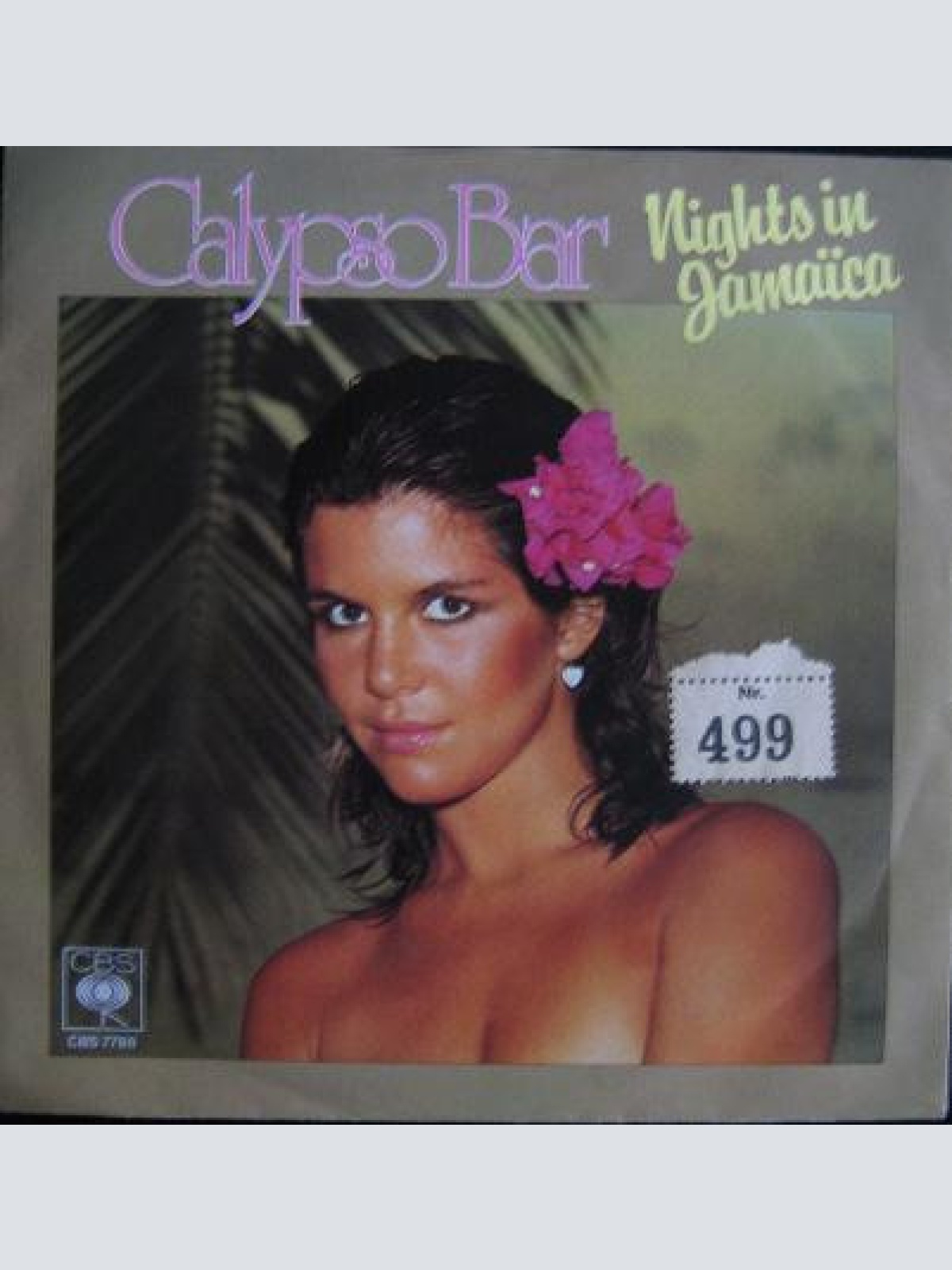 Vinyl / Calypso Bar - Nights In Jamaïca