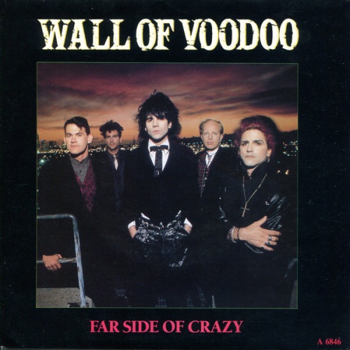 Vinyl / Wall Of Voodoo - Far Side Of Crazy