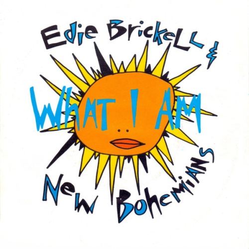 Vinyl / Edie Brickell & New Bohemians - What I Am