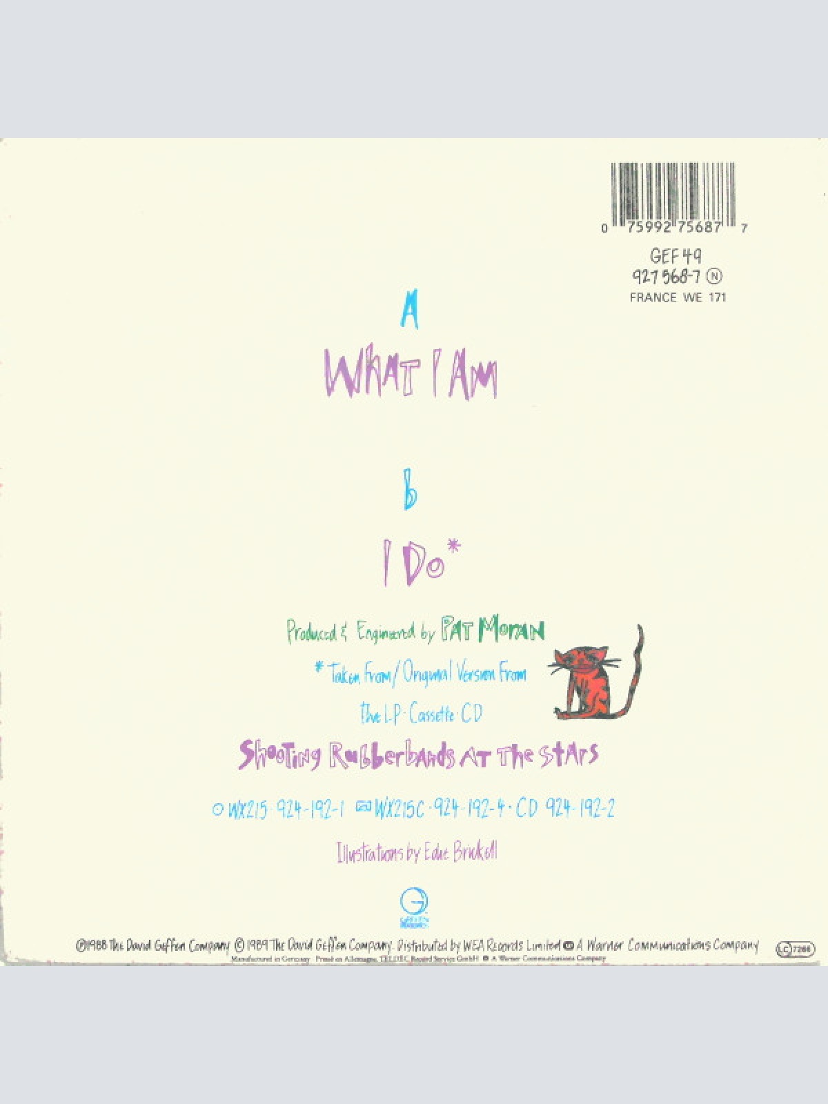 Vinyl / Edie Brickell & New Bohemians - What I Am