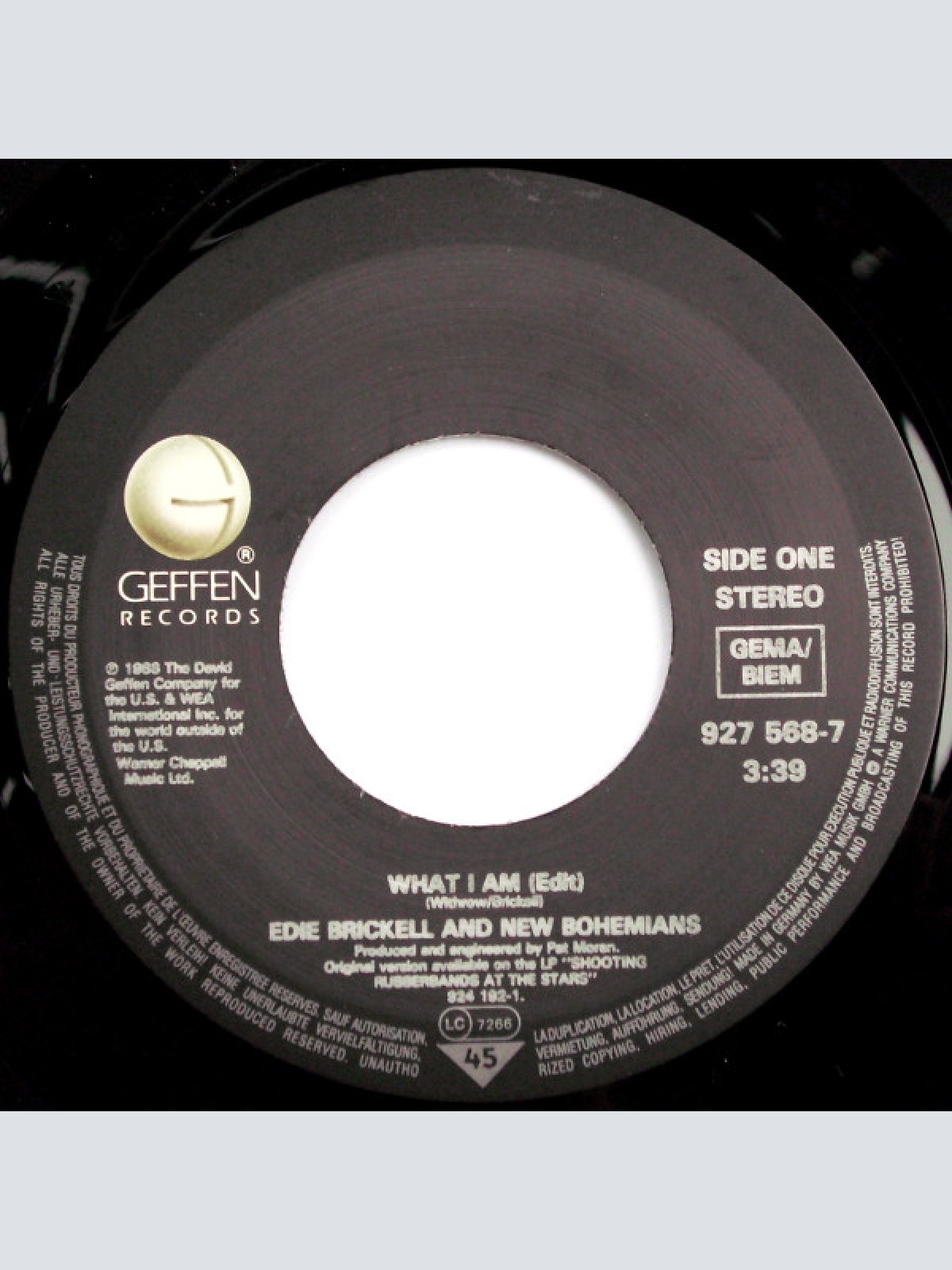 Vinyl / Edie Brickell & New Bohemians - What I Am