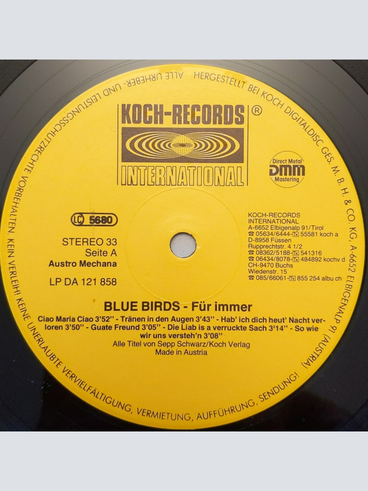 Vinyl / Blue Birds (2) - Für Immer