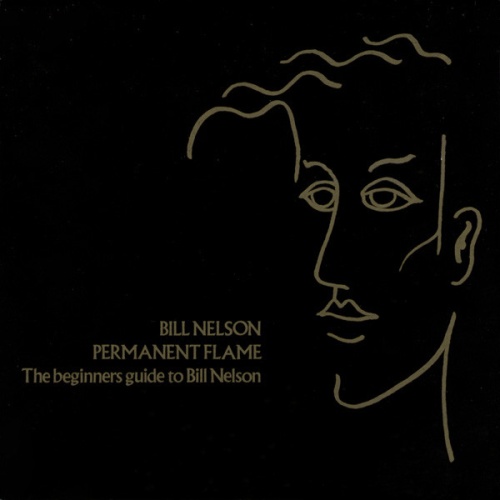 Vinyl / Bill Nelson - Permanent Flame (The Beginners Guide To Bill Nelson)