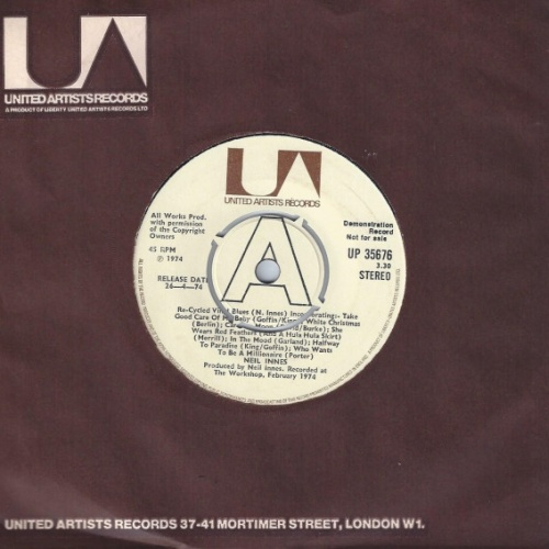 Vinyl / Neil Innes - Re-Cycled Vinyl Blues / Fluff On The Needle