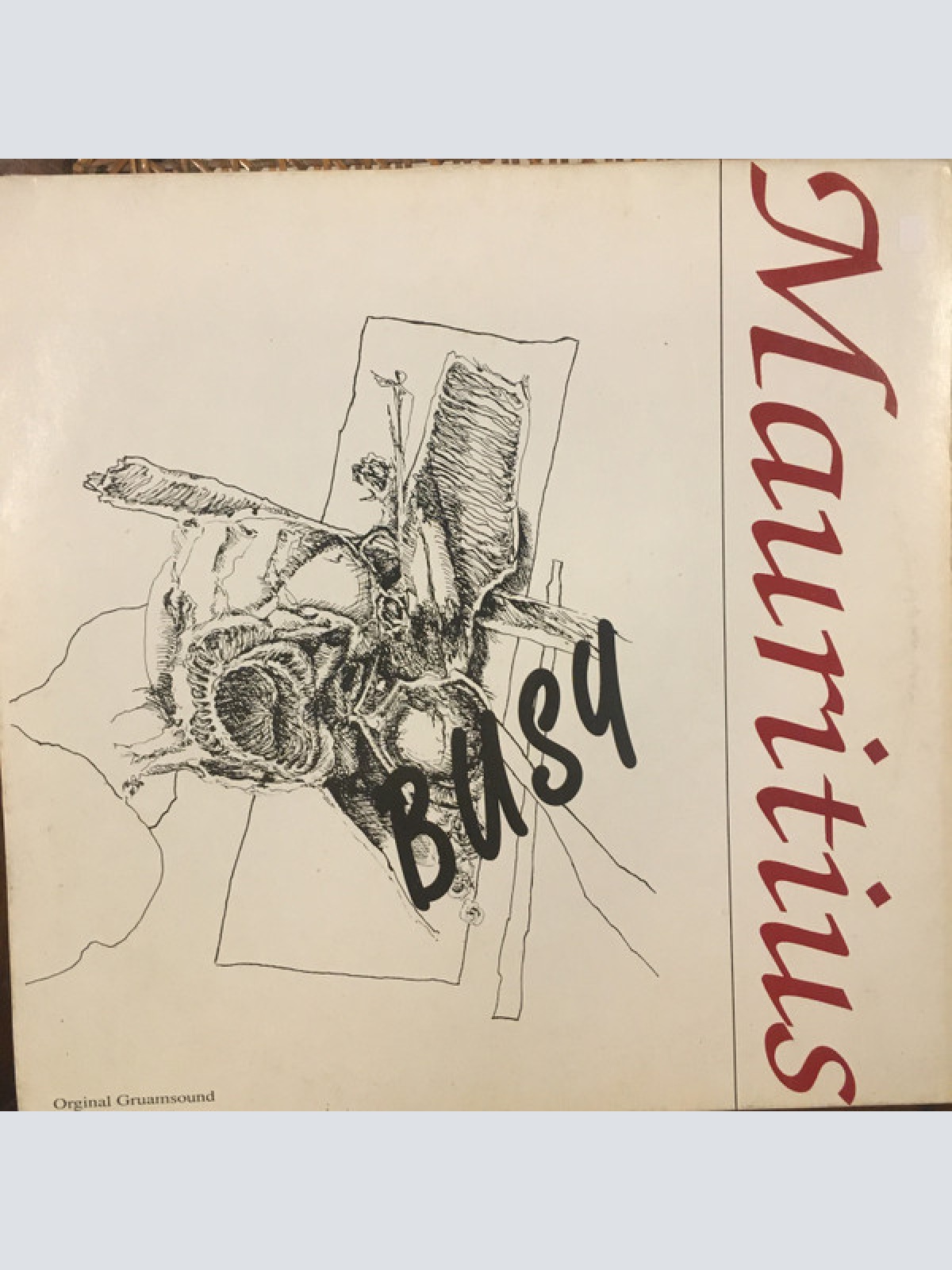 Vinyl / Mauritius (5) - Busy