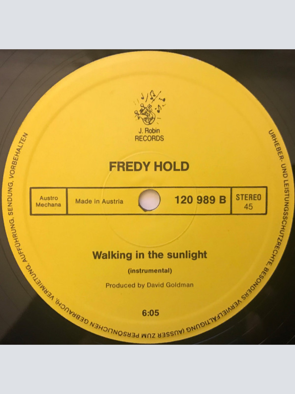 Vinyl / Fredy Hold - Walking In The Sunlight