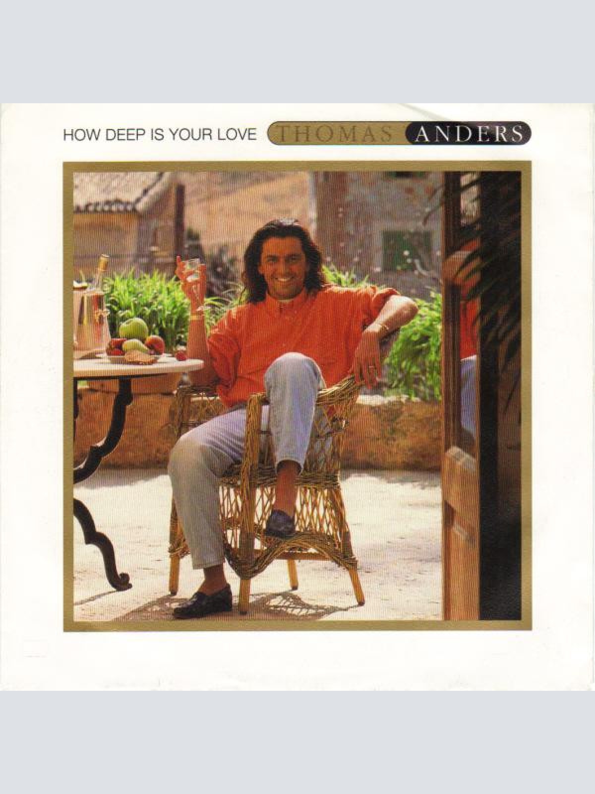 Vinyl / Thomas Anders - How Deep Is Your Love