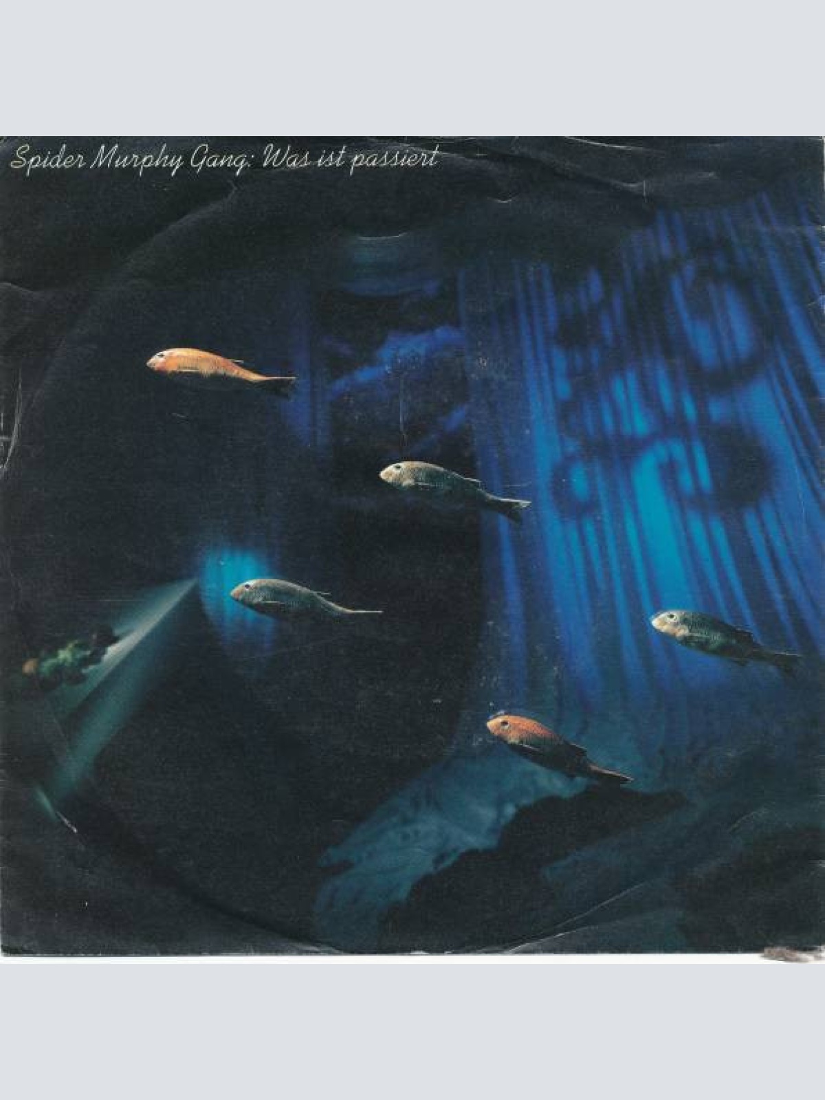 Vinyl / Spider Murphy Gang - Was Ist Passiert