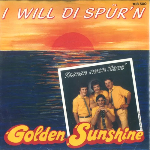 Vinyl / Golden Sunshine - I Will Di Spür'n