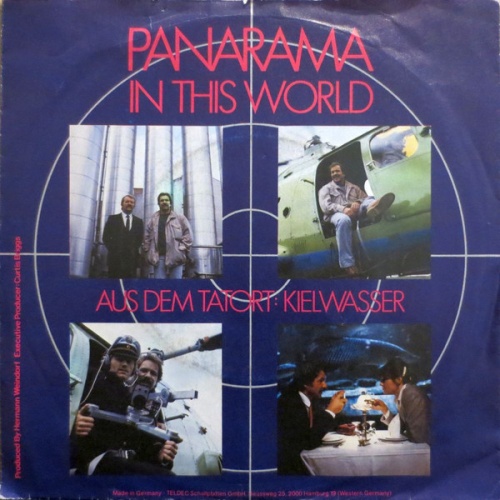 Vinyl / Panarama - In This World