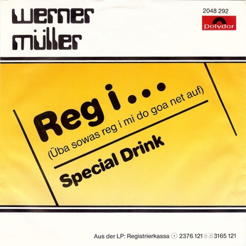 Vinyl / Werner Müller (2) - Reg I... (Üba Sowas Reg I Mi Do Goa Net Auf)