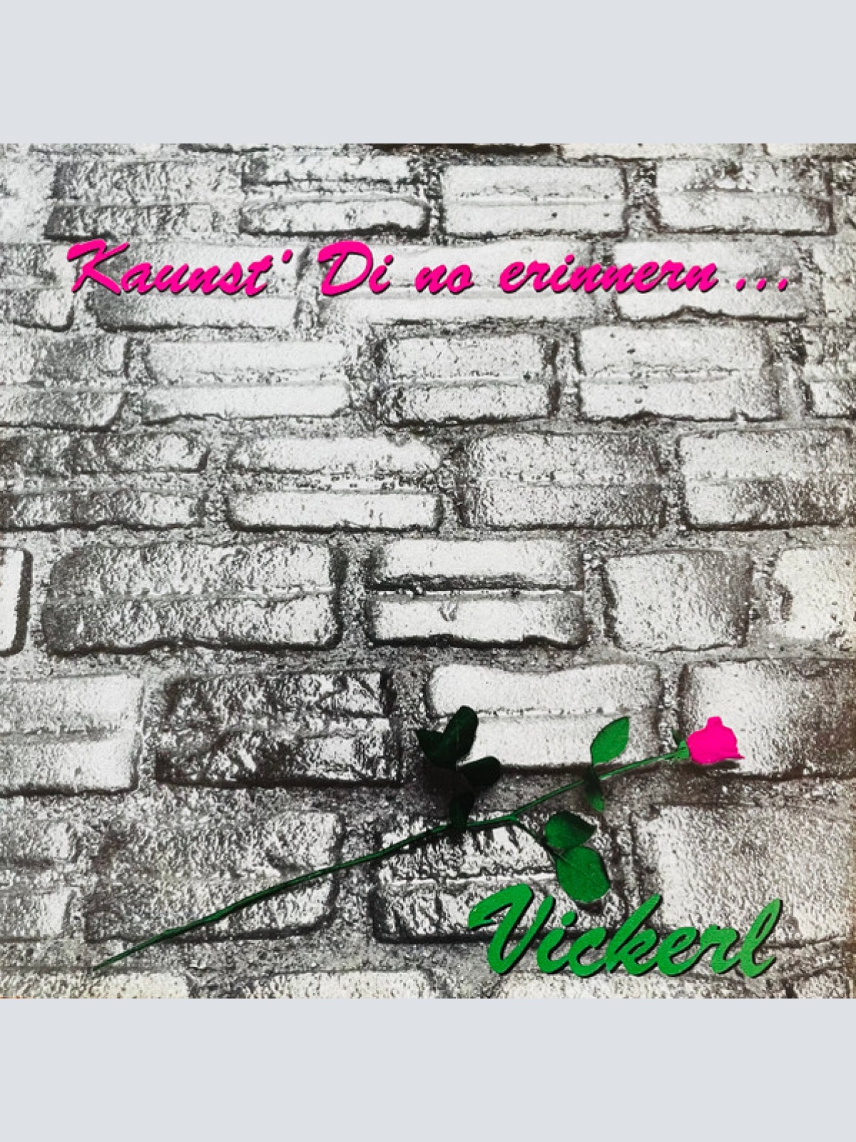 Vinyl / Vickerl* - Kannst' Di No Erinnern...