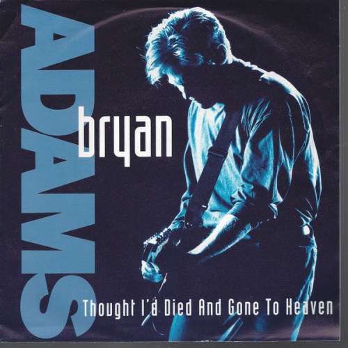 Vinyl / Bryan Adams - Thought I'd Died And Gone To Heaven