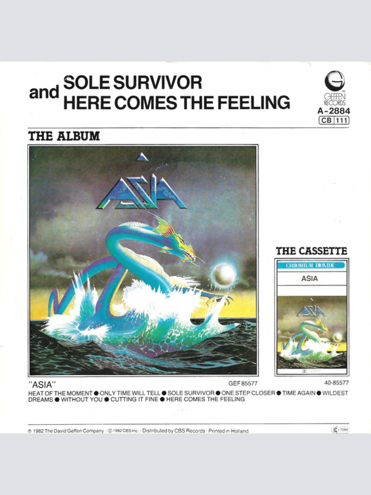Vinyl / Asia (2) - Sole Survivor