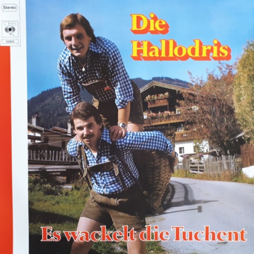 Vinyl / Die Hallodris - Es Wackelt Die Tuchent