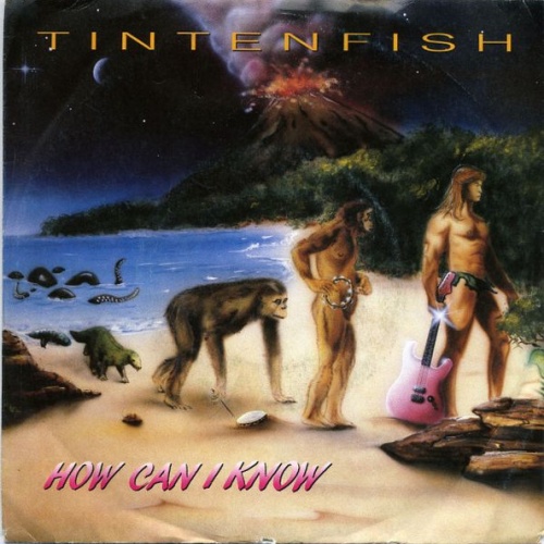 Vinyl / Tintenfish - How Can I Know