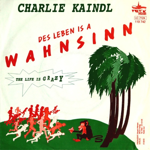 Vinyl / Charlie Kaindl* - Des Leben Is A Wahnsinn
