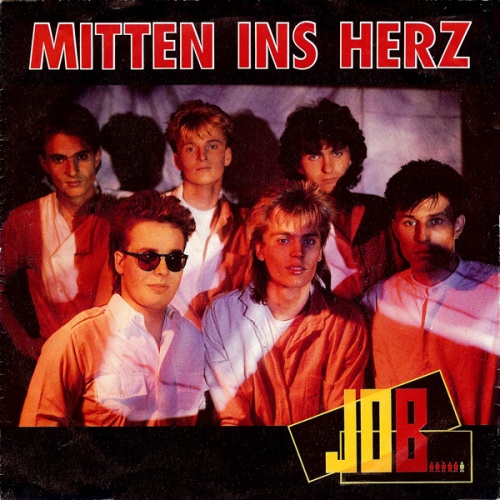 Vinyl / Job (12) - Mitten Ins Herz