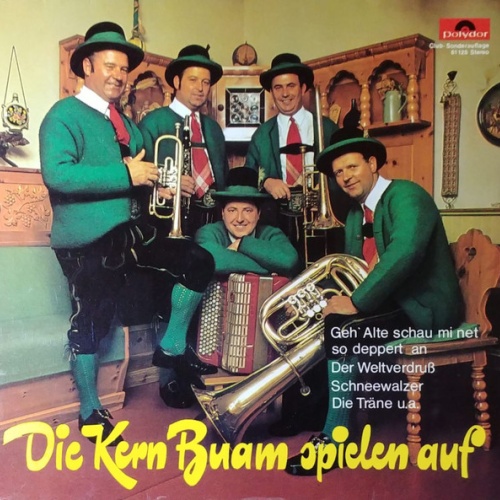 Vinyl / Die Kern Buam - Die Kern Buam Spielen Auf