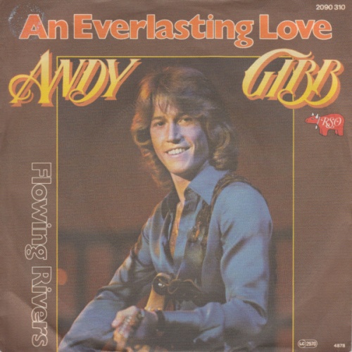 Vinyl / Andy Gibb - An Everlasting Love