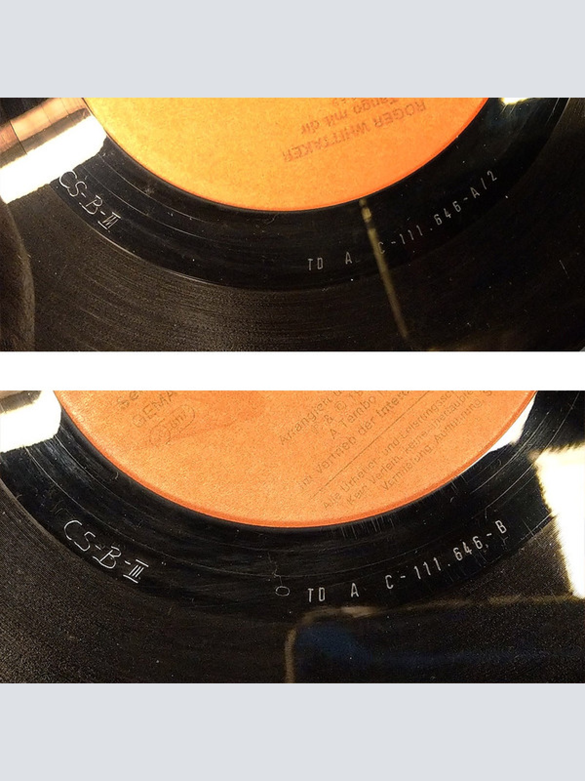 Vinyl / Roger Whittaker - Tango Mit Dir