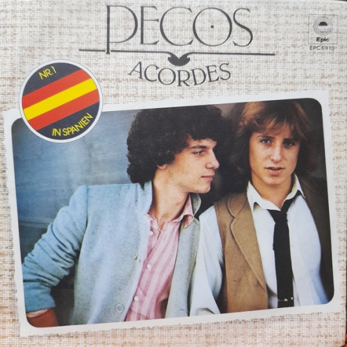 Vinyl / Pecos - Acordes